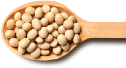 Semillas de soya